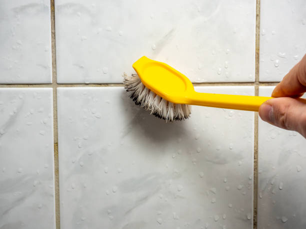 Best Fast Mold Removal  in Waynesburg, OH