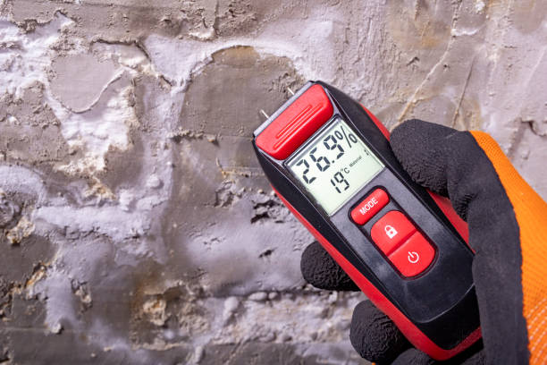 Best Office Mold Removal Services  in Waynesburg, OH