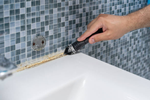 Best Certified Mold Removal  in Waynesburg, OH