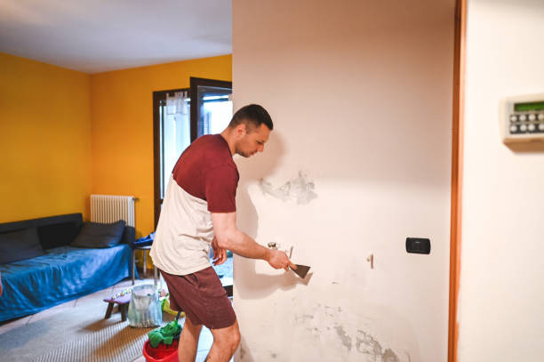 Best Attic Mold Removal  in Waynesburg, OH